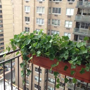 Meet your Posher, Elaine